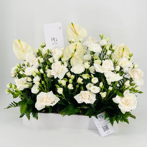9650 - صورة 3
