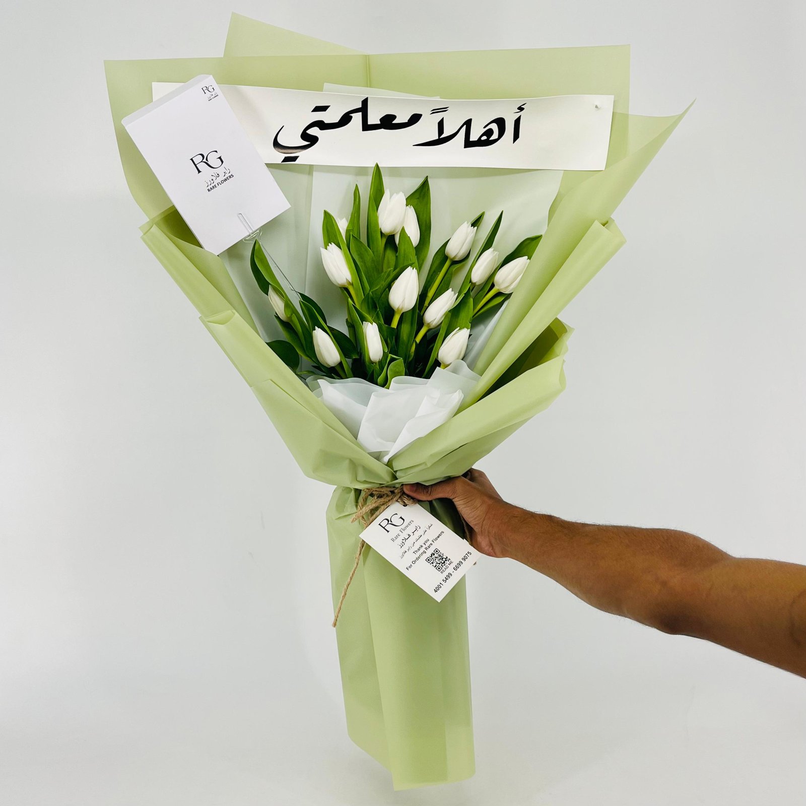13636 - صورة 3