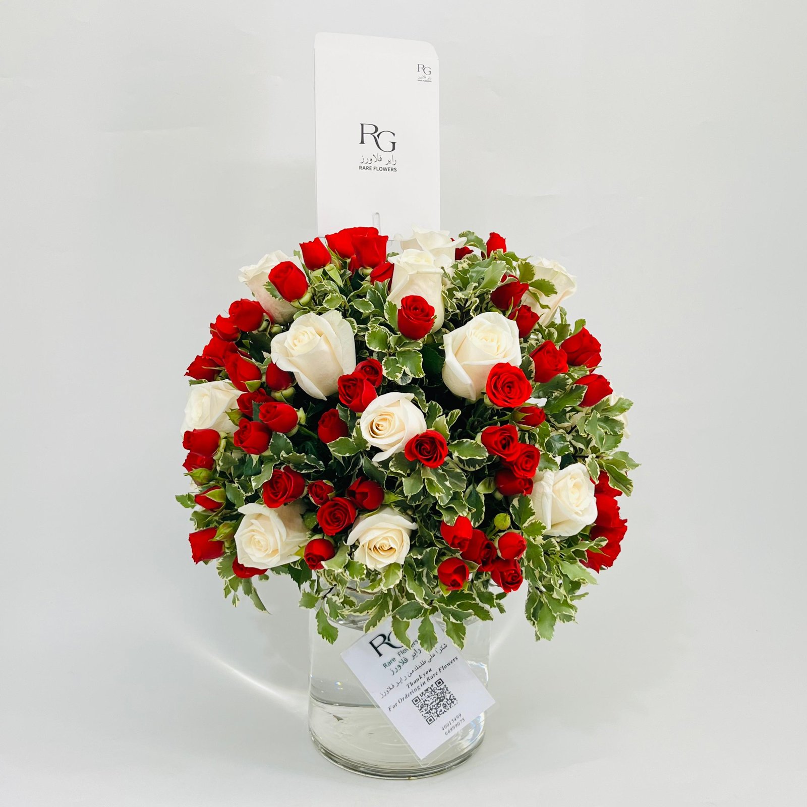 10976 - صورة 2