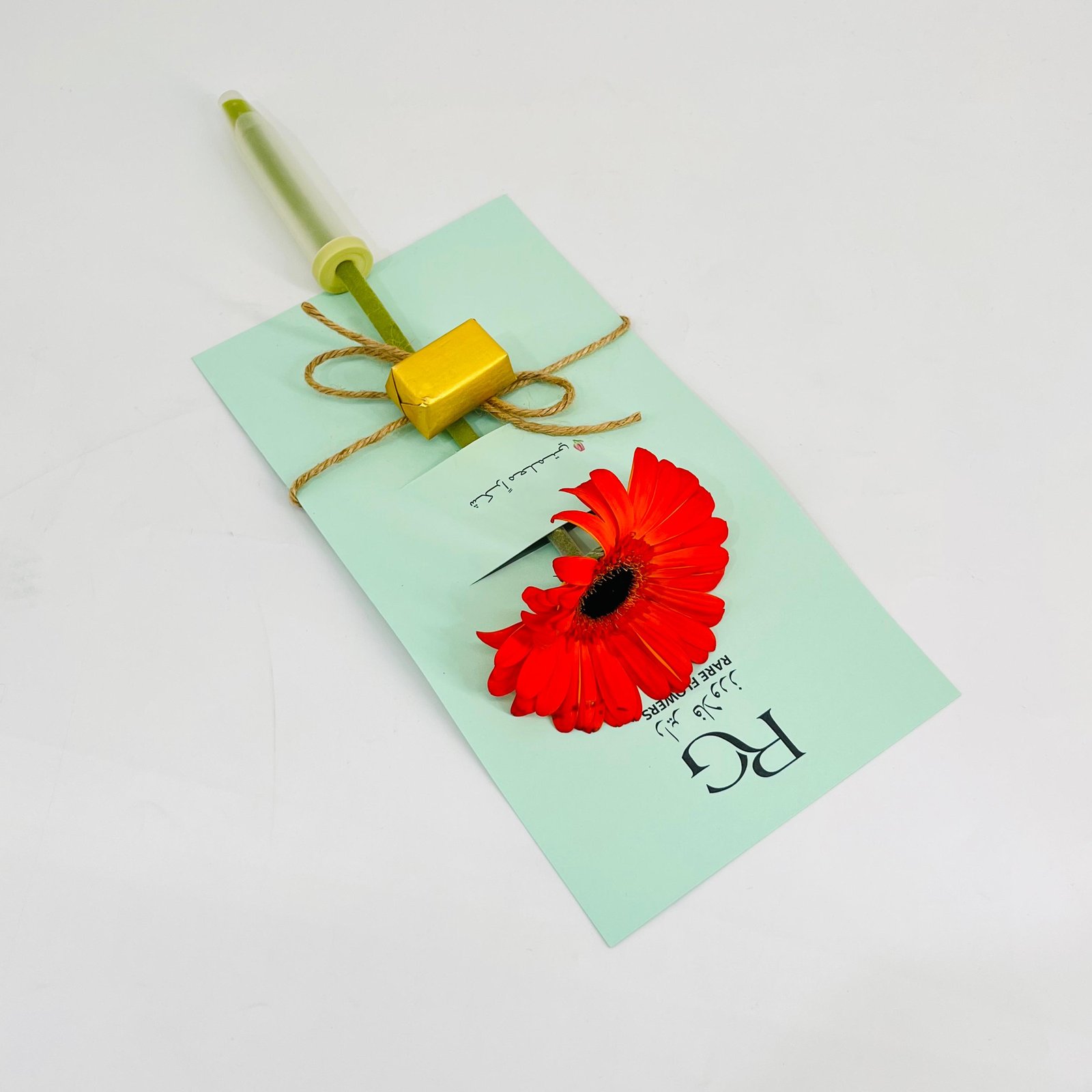 9951 - صورة 2