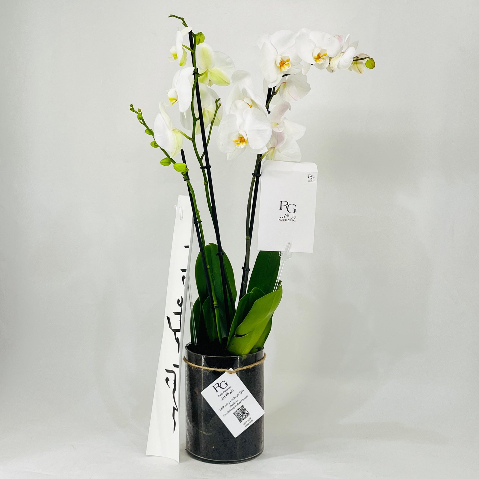 11787 - Image 3
