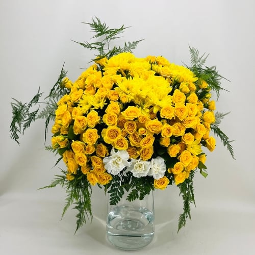 6787 - صورة 1