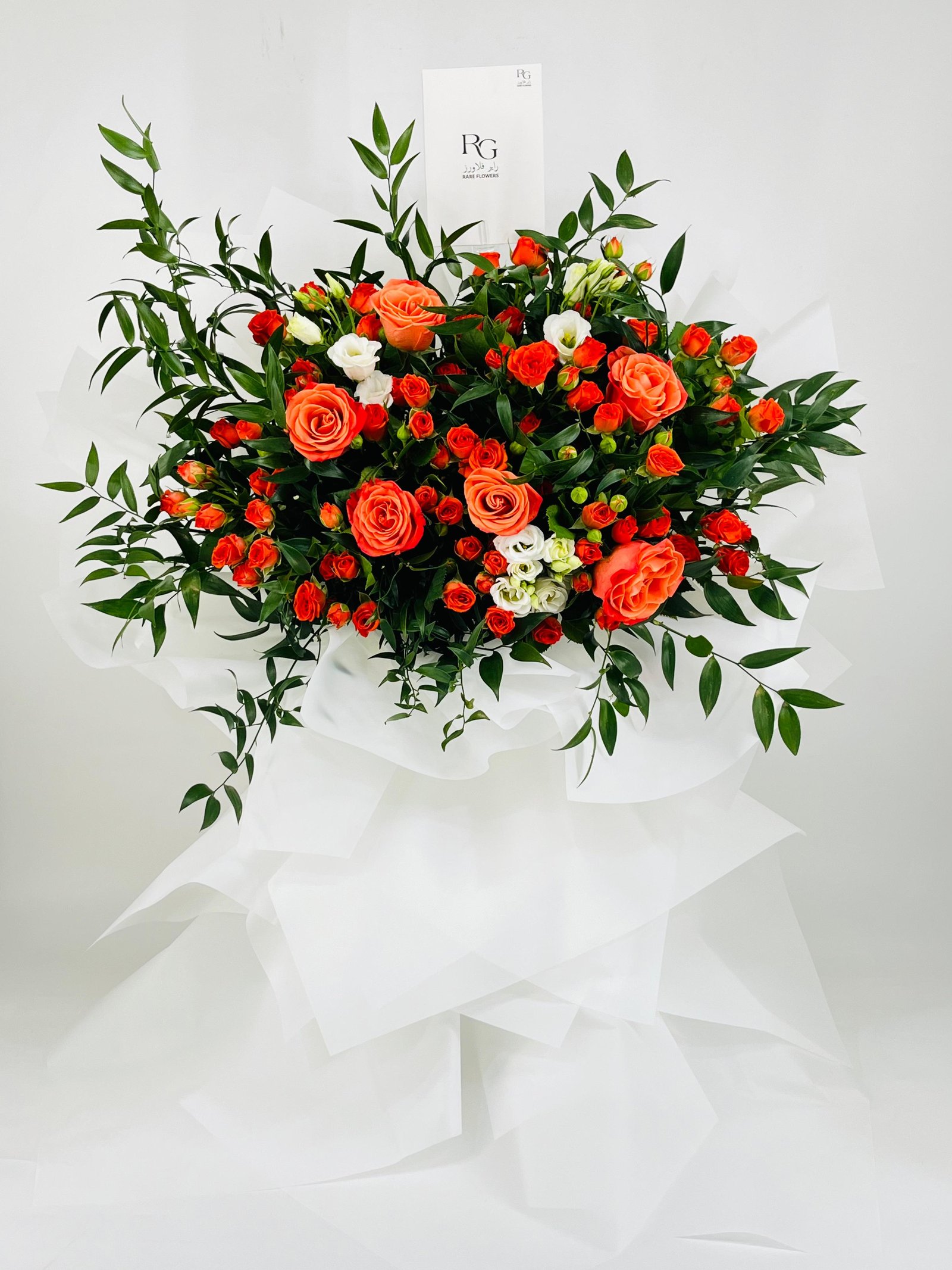 12336 - Image 1