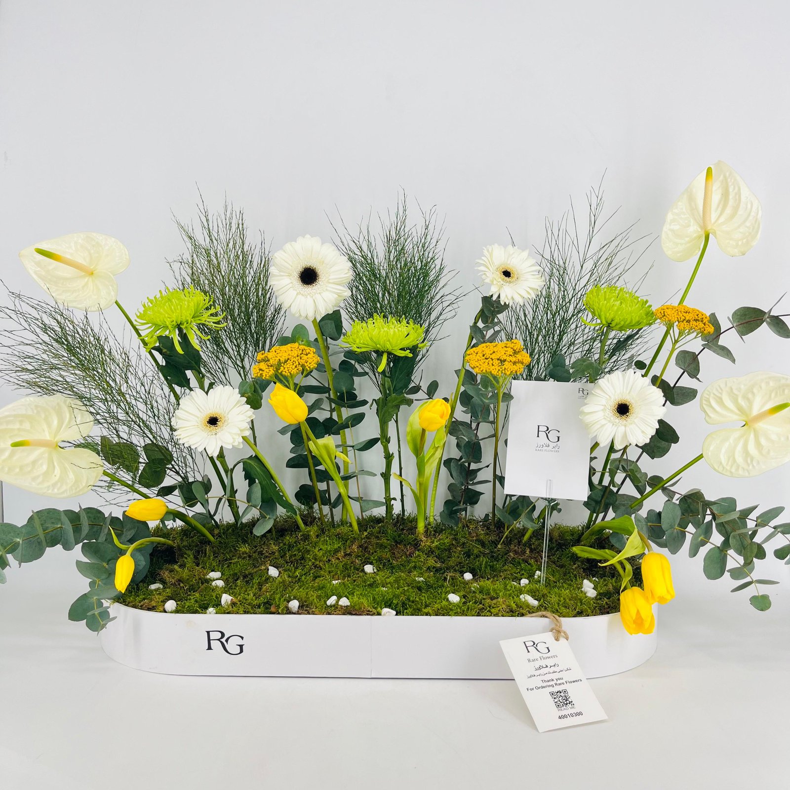 15434 - Image 1