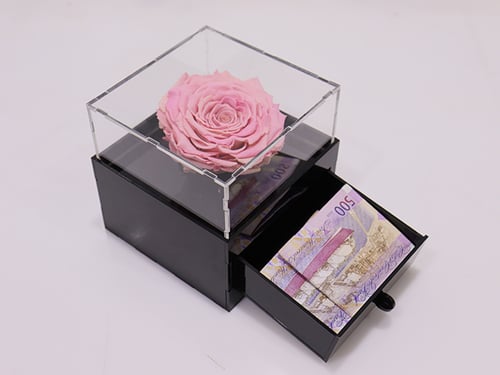 3746 - Image 1