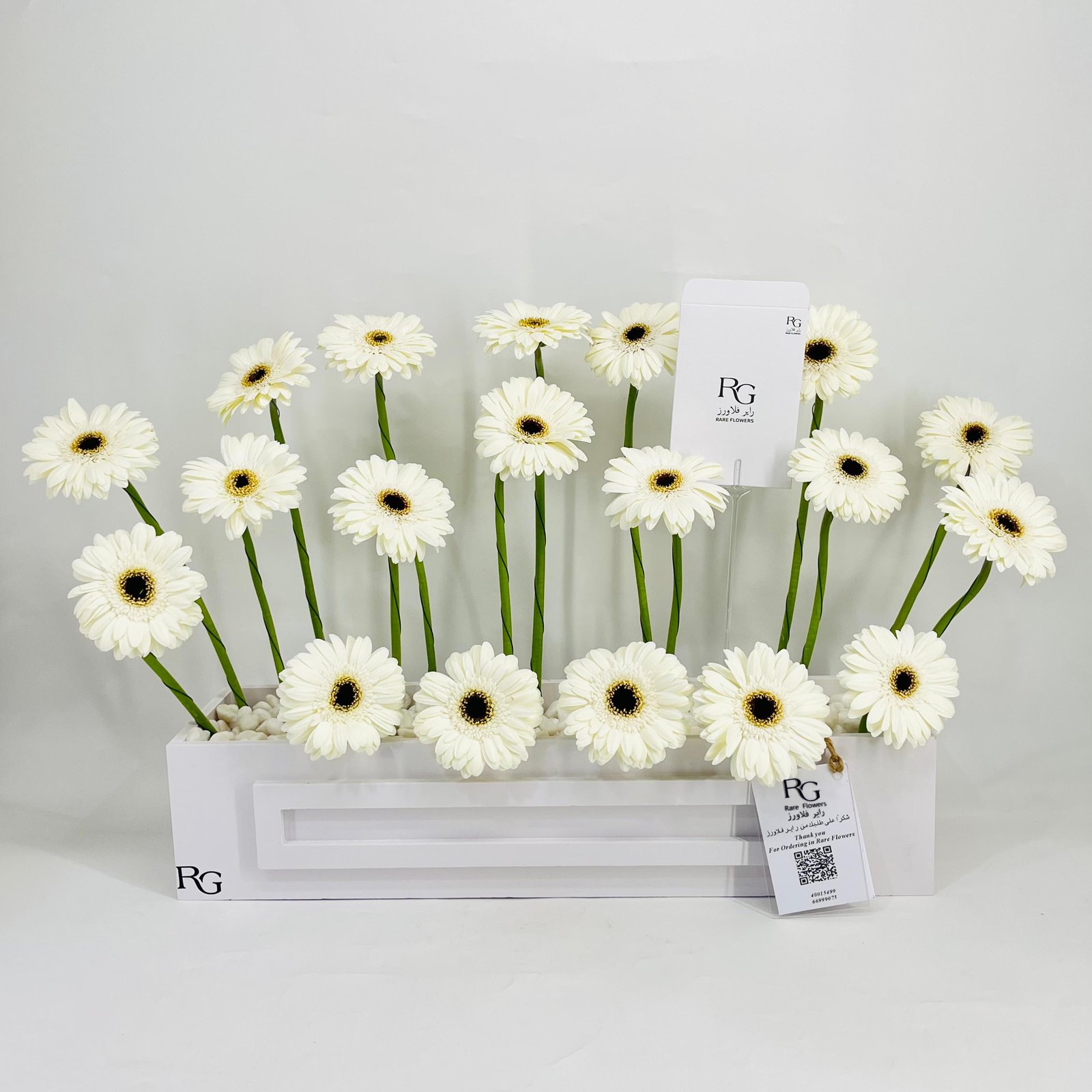 10670 - صورة 1