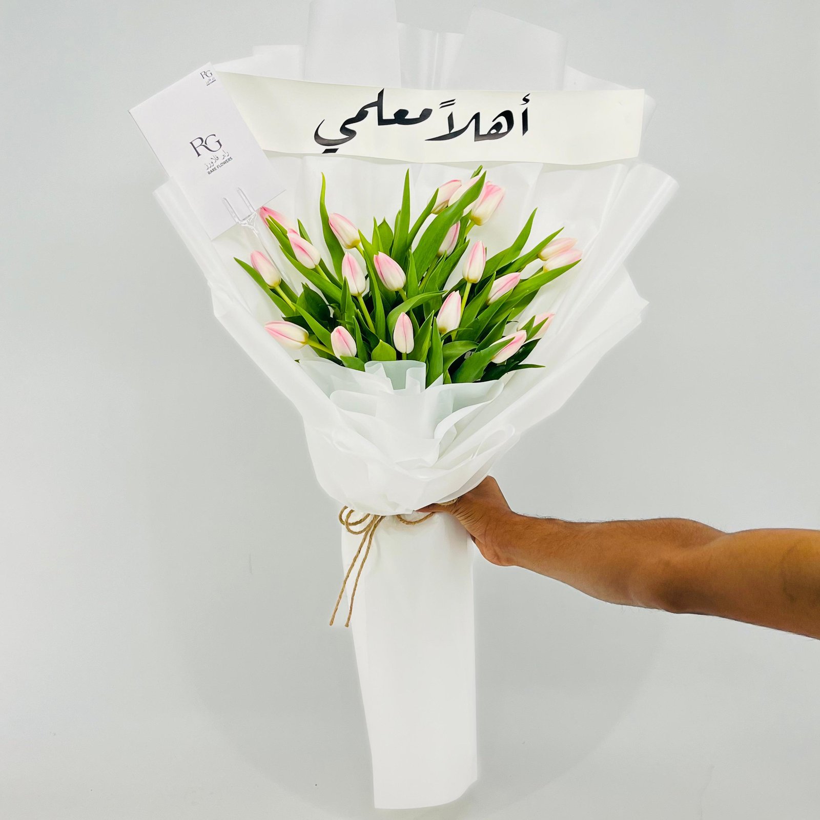 13611 - صورة 4