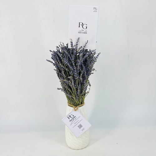 3691 - صورة 2