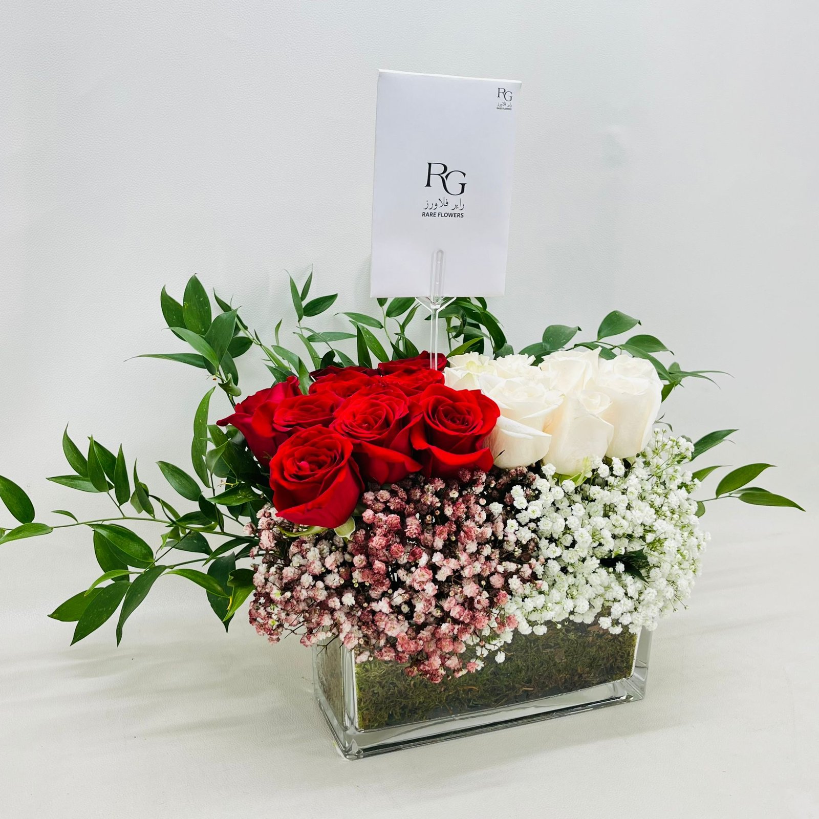 6561 - Image 2