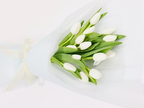 3355 - صورة 1