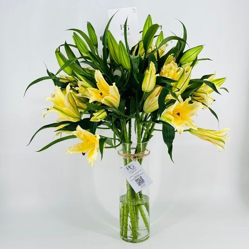 9158 - صورة 2