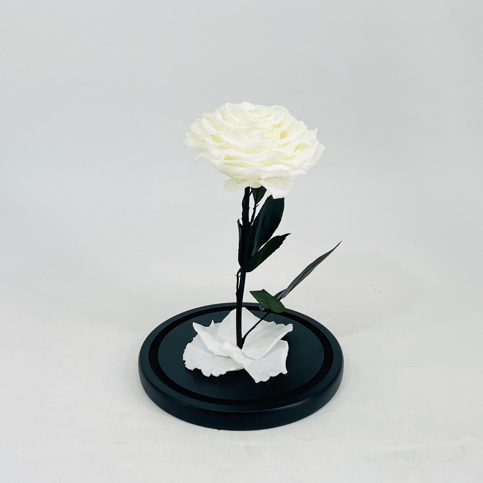 11234 - Image 3