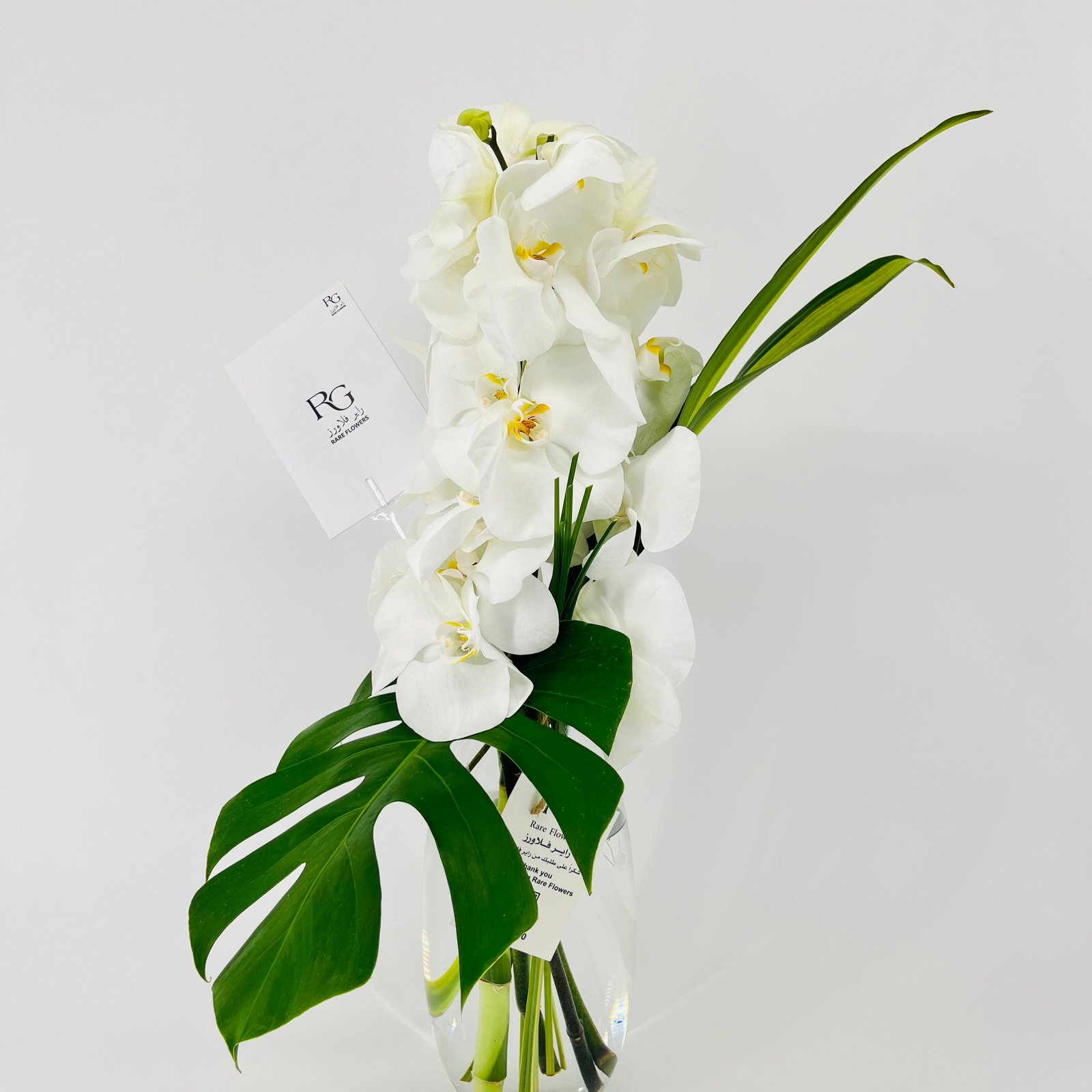 14072 - صورة 7