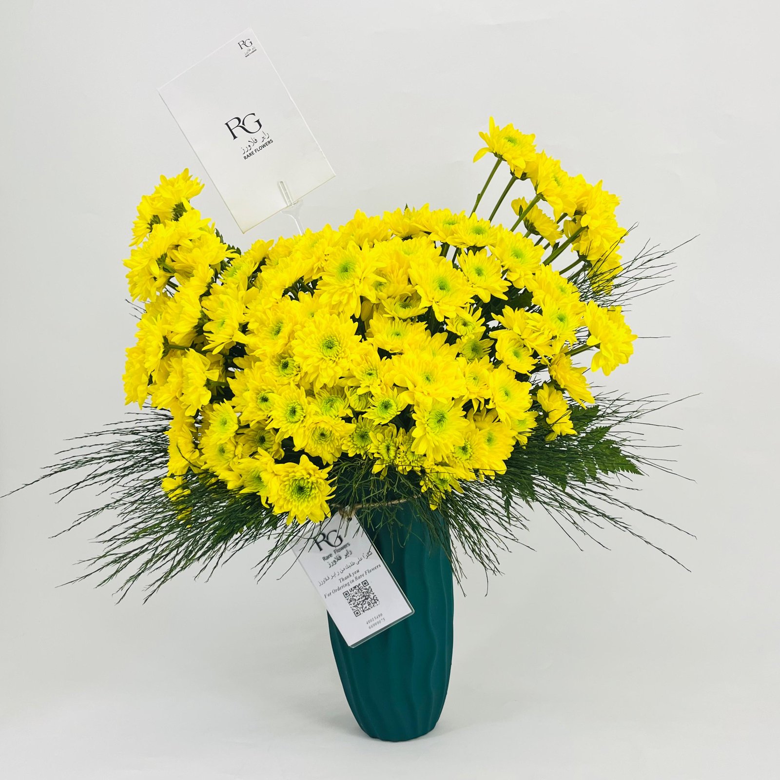 10028 - Image 2
