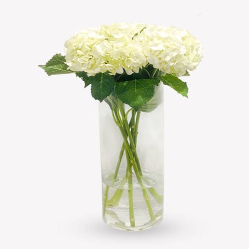 2576 - صورة 1