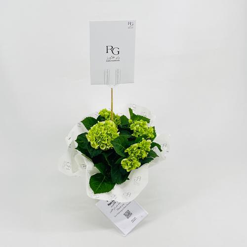 Hydrangea 5 flowers No.9560 - Image 2