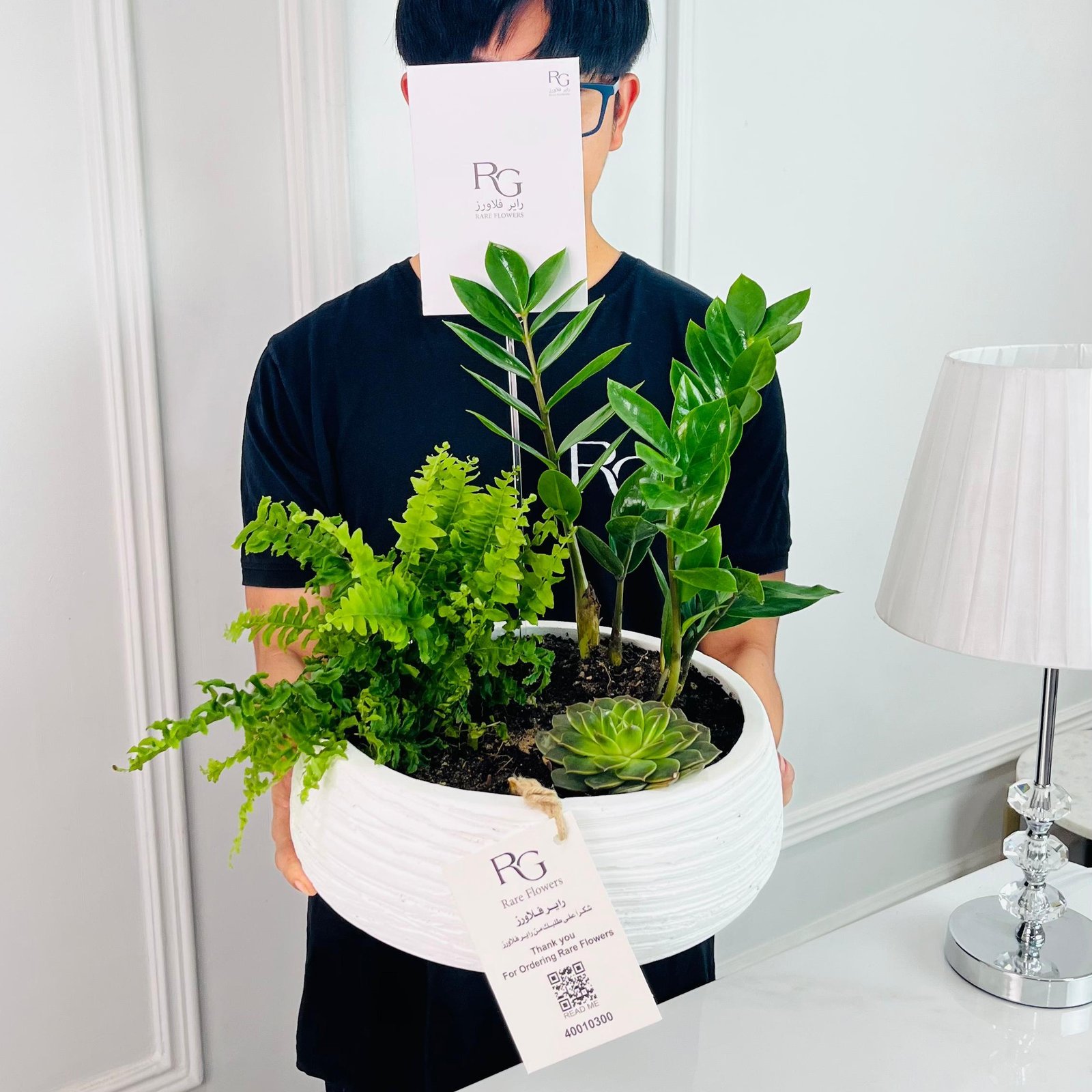 Zamioculcas Plant No.16715 - Image 2
