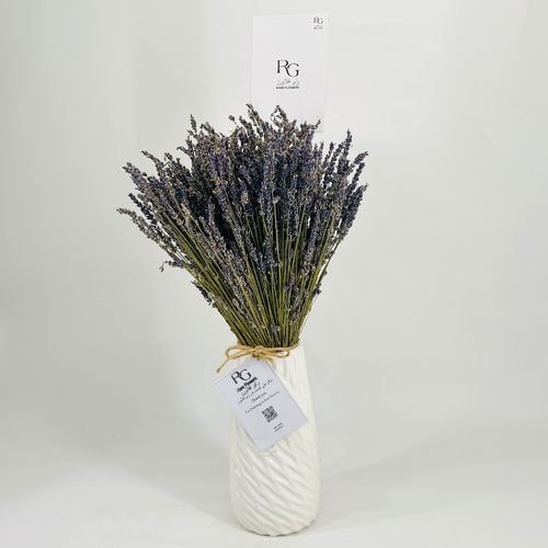 3693 - صورة 3