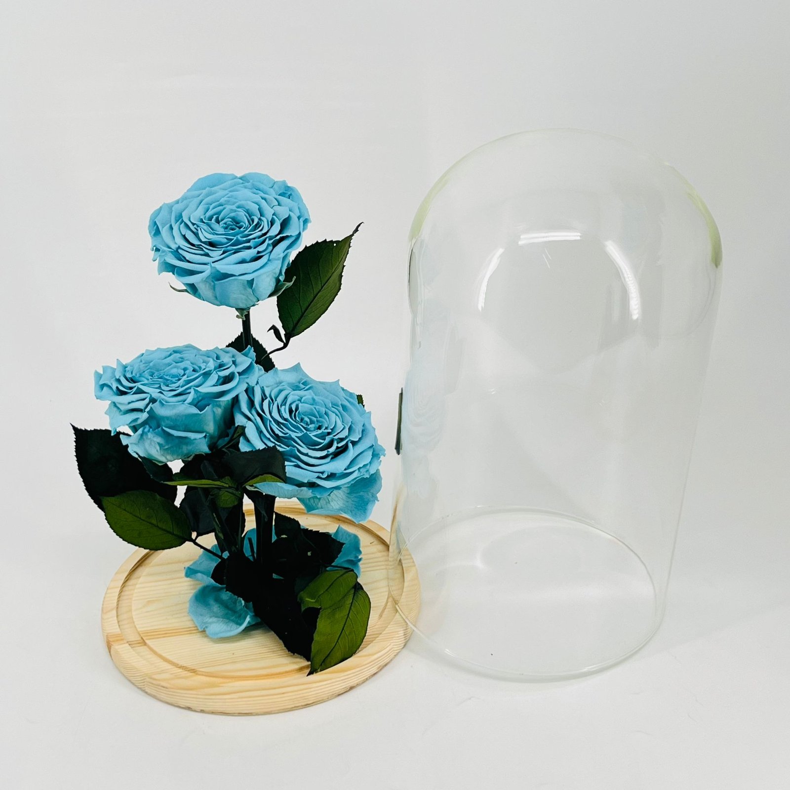 9038 - Image 2