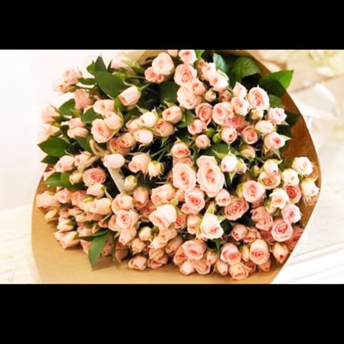 579 - صورة 1