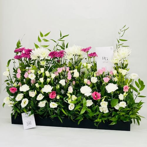 9853 - صورة 3