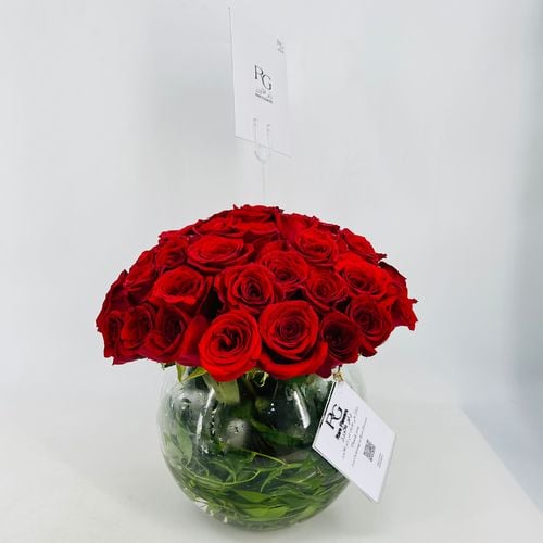 5468 - صورة 2