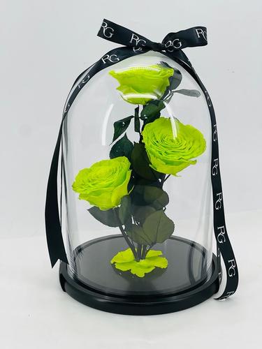 6276 - Image 2