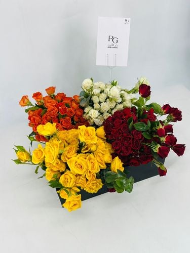 5877 - صورة 2