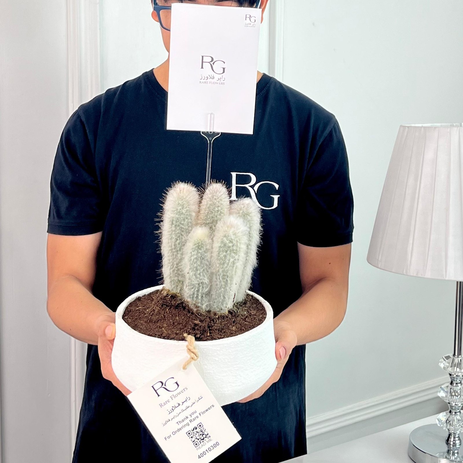 Cactus Plant No.16697 - Image 2