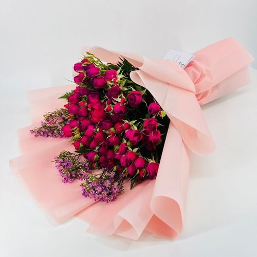 5084 - صورة 2