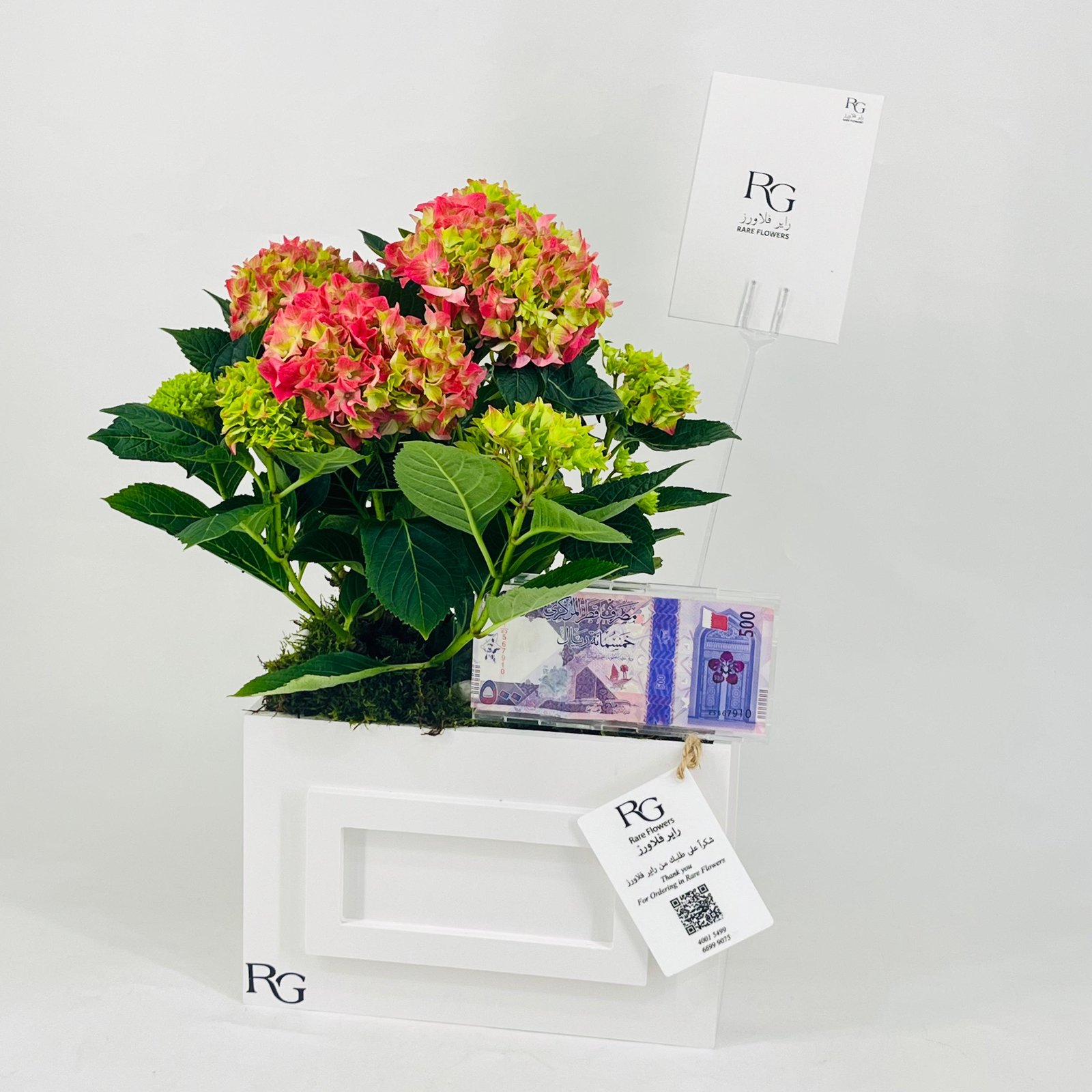 12442 - Image 3