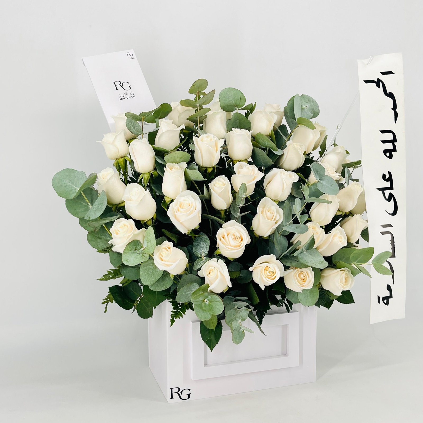 13542 - صورة 2