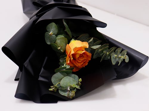 3666 - Image 3