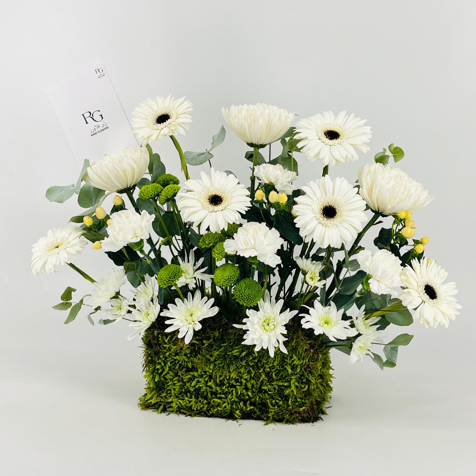 13331 - Image 3