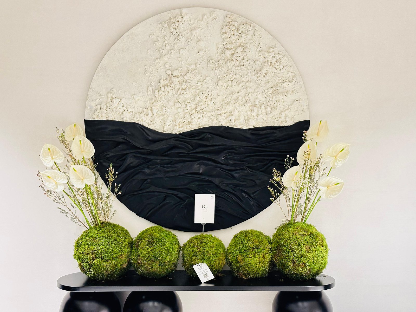 12924 - صورة 2