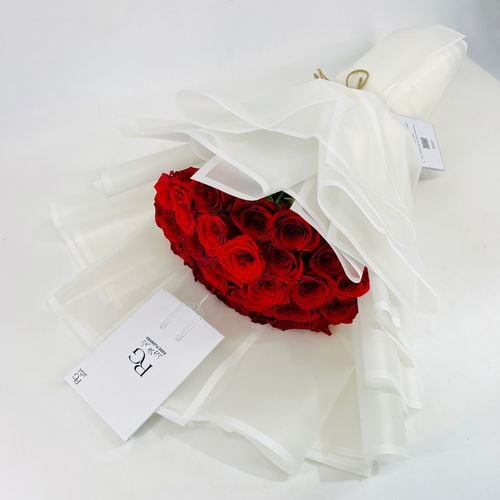 5614 - صورة 2