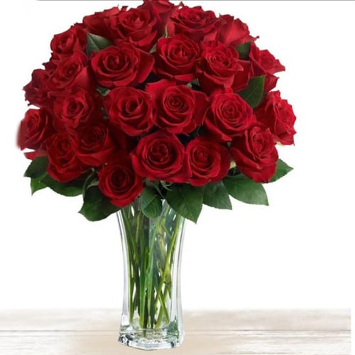 565 - صورة 1