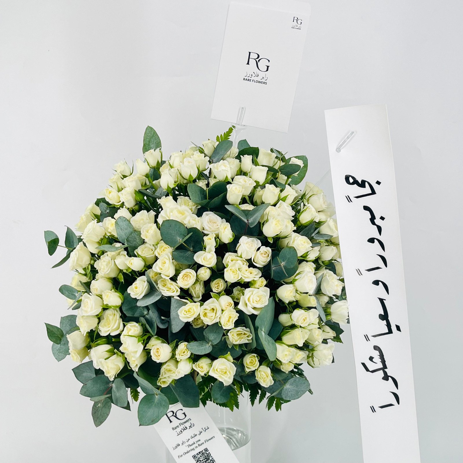 12663 - صورة 4