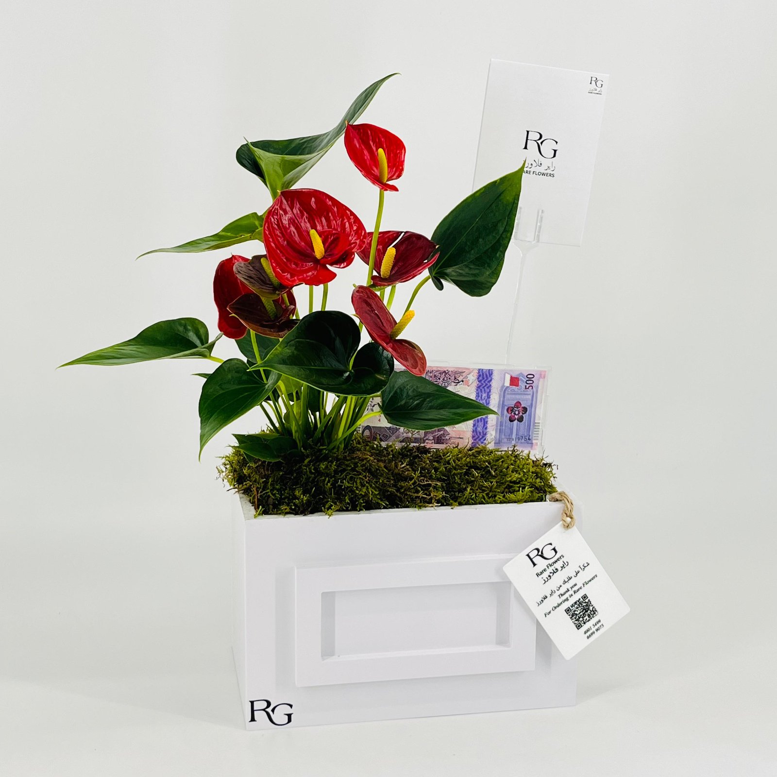 12846 - Image 2