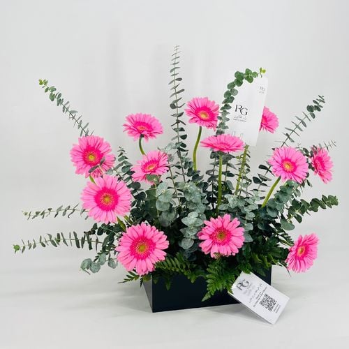 7919 - صورة 2