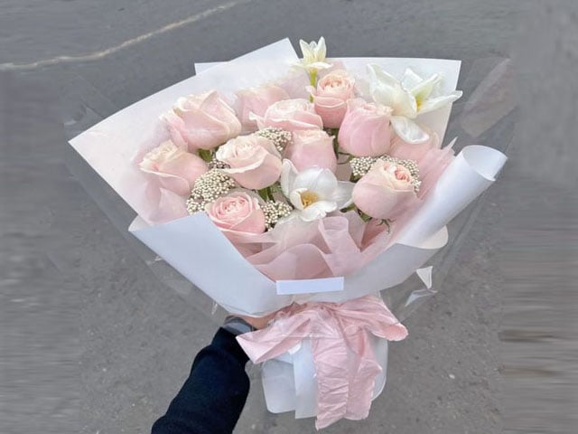 2667 - صورة 1