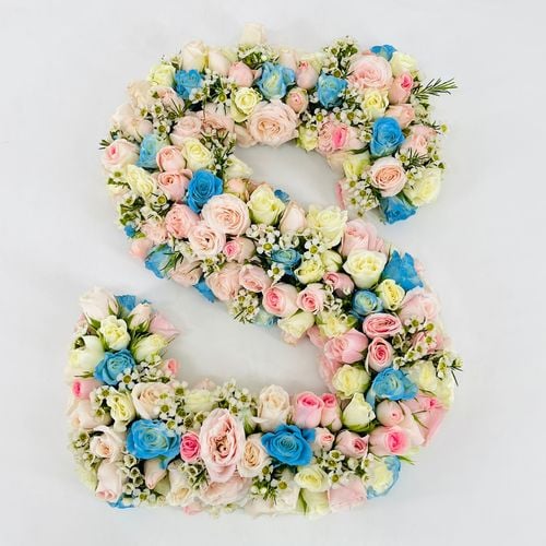 3076 - صورة 1