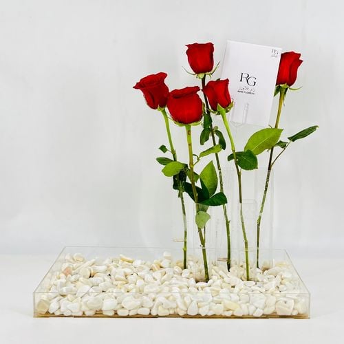 5814 - صورة 1