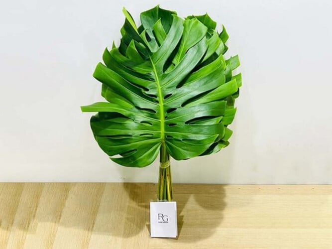 4476 - Image 1
