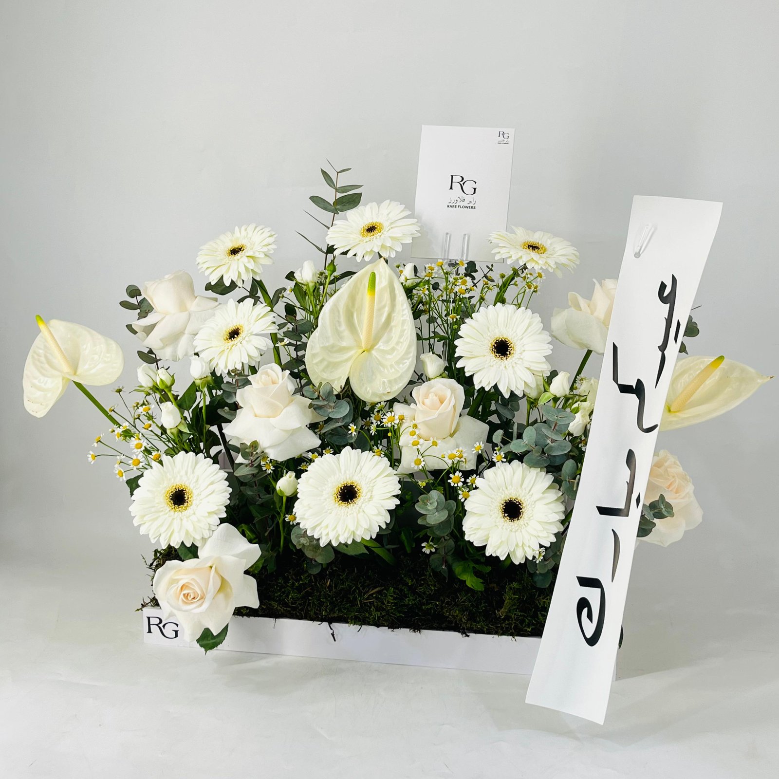 12068 - Image 3