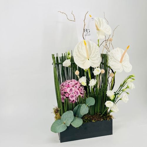 9180N - Image 2