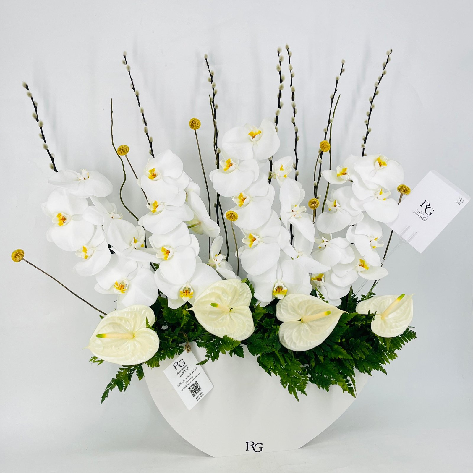 12639 - صورة 3