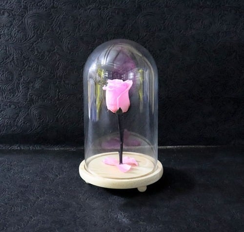 2104 - Image 1