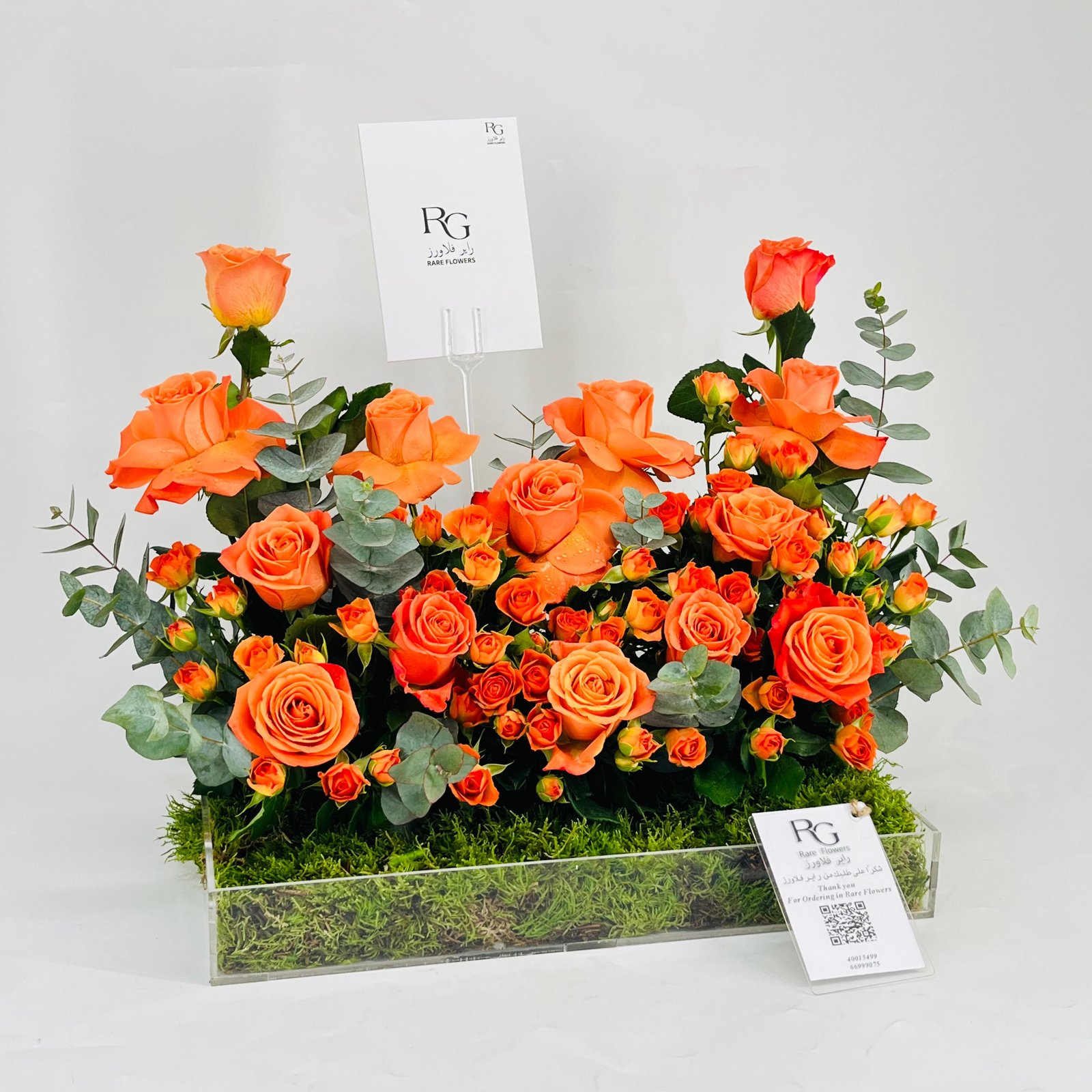 11201-795 - Image 2