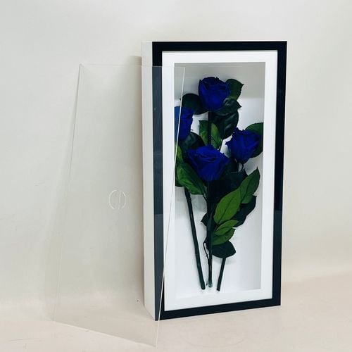 7861 - صورة 2